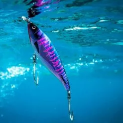 Hard Baits Nomad Design Madscad -Rods promo image 1065