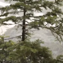 Waterproof Bags Grundens GAGE 30 Liter Rum Runner Waterproof Backpack -Rods promo image 1274