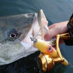 Penn Slammer III Spinning Reels -Rods promo image 1575