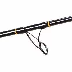 Surf Rods Lamiglas Carbon Surf Spinning Rods
