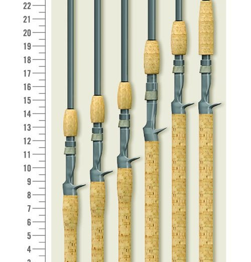 St Croix Avid Series Salmon & Steelhead Casting Rods 6 St Croix Avid Series Salmon & Steelhead Casting Rods - Image 4