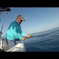 Boat Spinning Rods Tsunami Airwave Elite Braid Select Spinning Rods