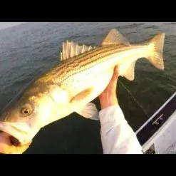 Tsunami Trophy Slow Pitch Jigging Casting Rods 7 Tsunami Trophy Slow Pitch Jigging Casting Rods -Rods promo image 5