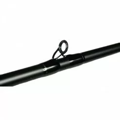 Dobyns Champion XP Casting Rods -Rods promo image 599