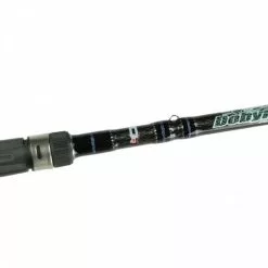 Dobyns Sierra Casting Rods -Rods promo image 64