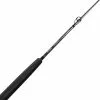 Jigging Casting Rods Accurate Valiant Casting Rods
