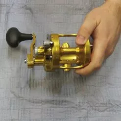 Conventional Reels Avet MXL 6/4 MC RAPTOR Lever Drag Reel -Rods promo image 678