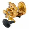 Conventional Reels Penn Torque Star Drag Reels