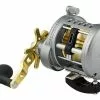 Conventional Reels Daiwa Saltist Levelwind Reels 2 Conventional Reels Daiwa Saltist Levelwind Reels -Rods promo image 699