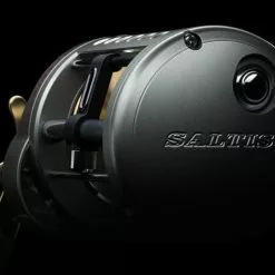 Conventional Reels Daiwa Saltist Levelwind Reels -Rods promo image 701