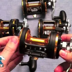 Daiwa Seagate Conventional Reels -Rods promo image 801