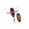 Hard Baits Duo Realis Dekashinmushi Cicada Bug 1 Hard Baits Duo Realis Dekashinmushi Cicada Bug -Rods promo image 934