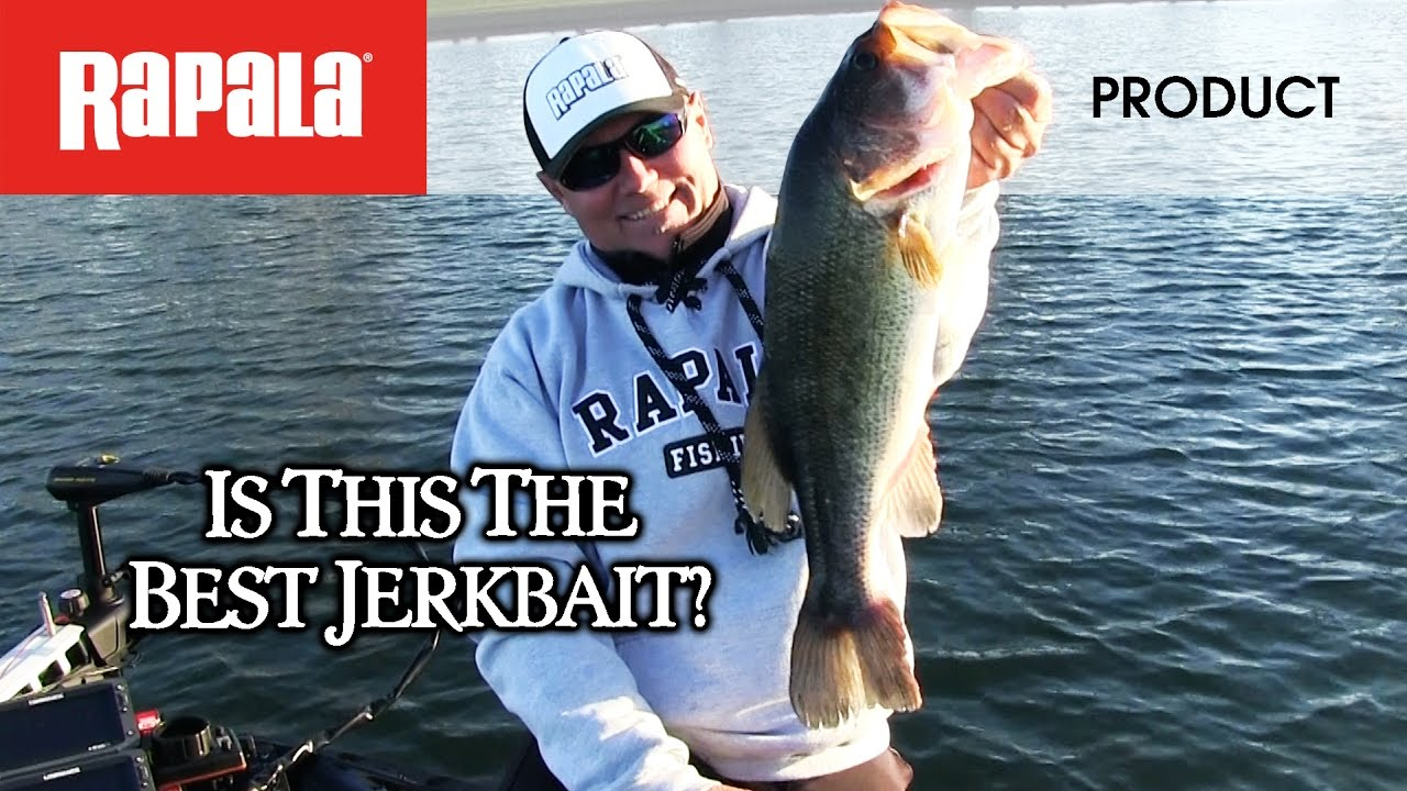 Hard Baits Rapala Shadow Rap Shad 4 Hard Baits Rapala Shadow Rap Shad - Image 2